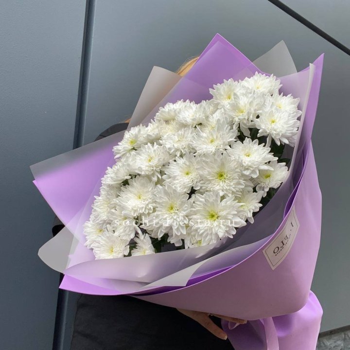  7 хризантем  в Волгограде