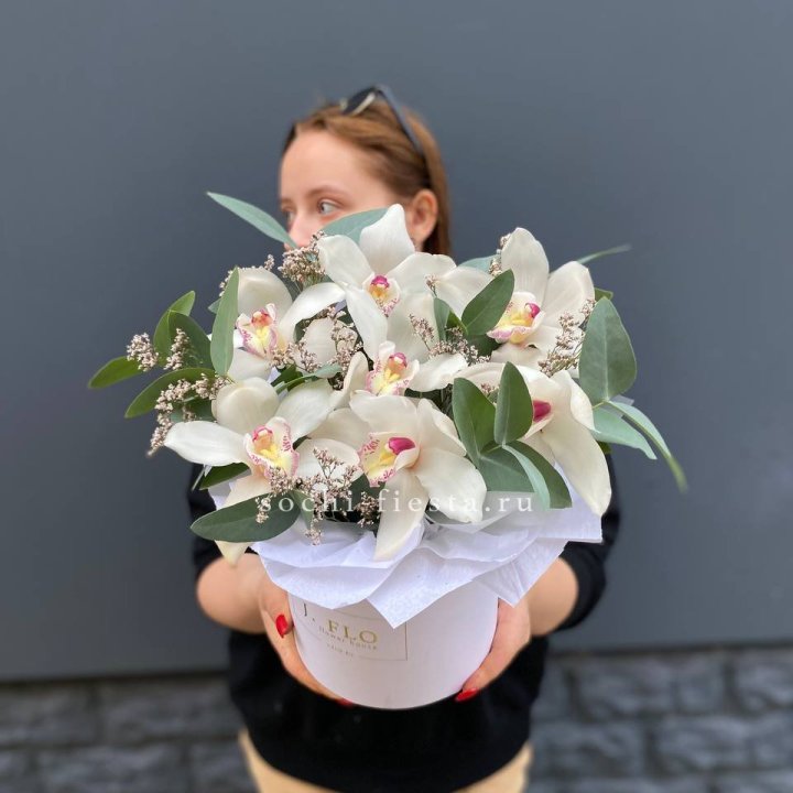 7 орхидей в боксе в Волгограде