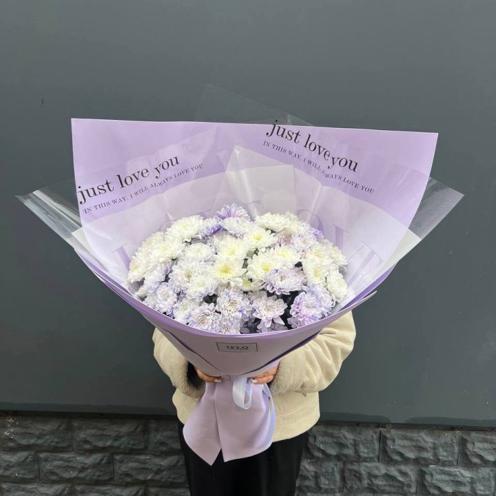 9 воздушных хризантем в Волгограде