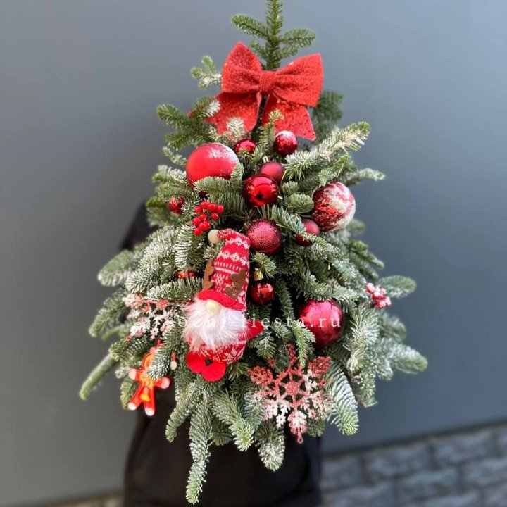 Новогодняя елочка "Ред" в Волгограде