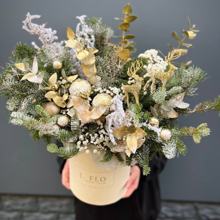 Золотой бокс с нобилисом в Волгограде