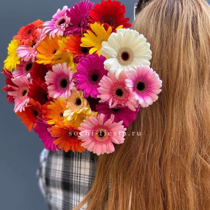 Охапка гербер  в Волгограде