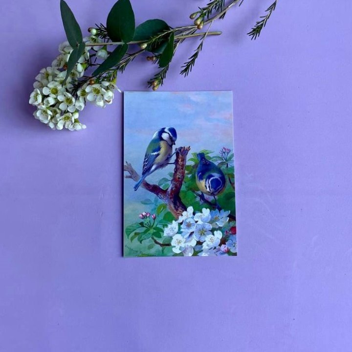 Открытка к букету "Птицы" в Волгограде