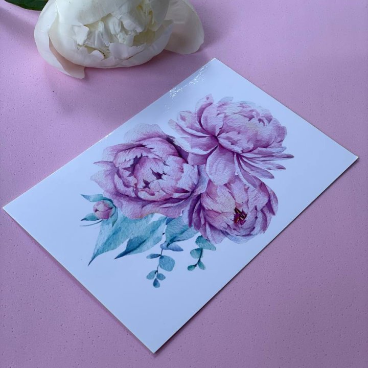 Открытка к букету "Пионы" в Волгограде