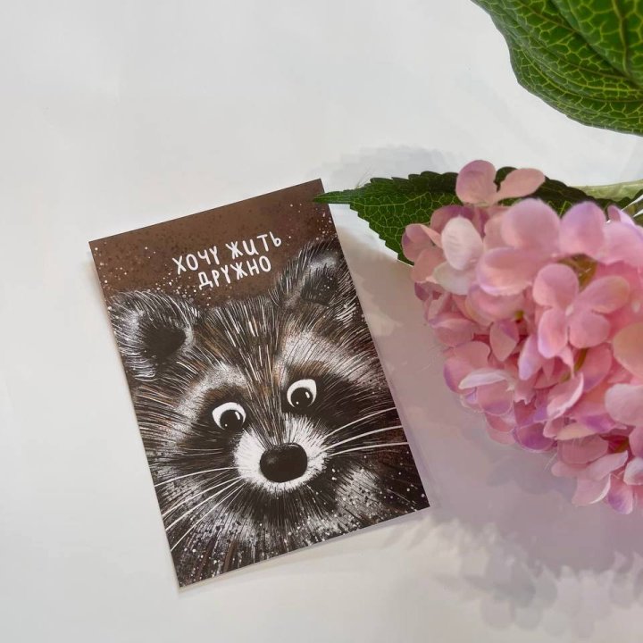 Открытка к букету "Енотик" в Волгограде