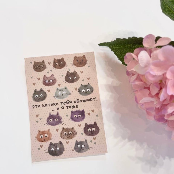 Открытка к букету "Котики" в Волгограде
