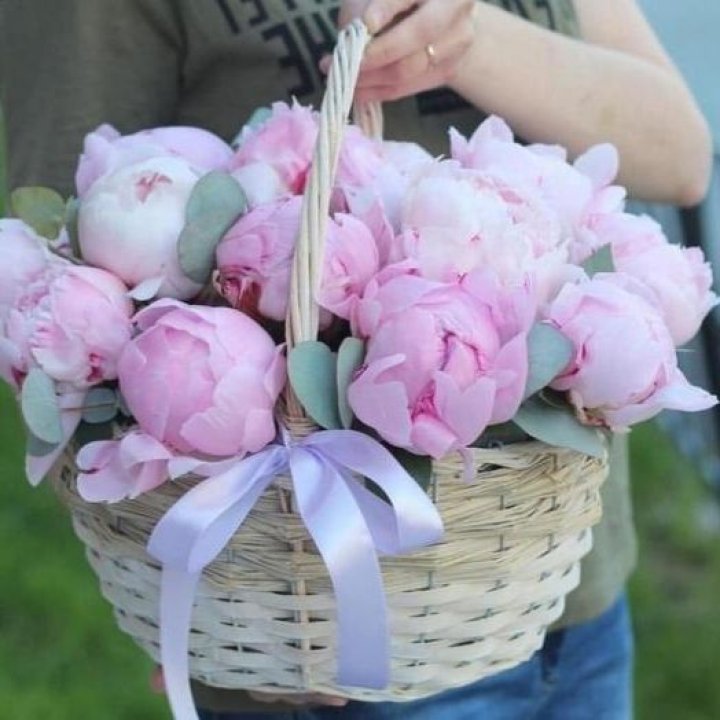 15 пионов в корзине в Волгограде