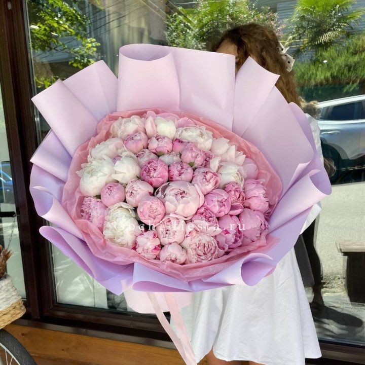 51 розовый пион в Волгограде