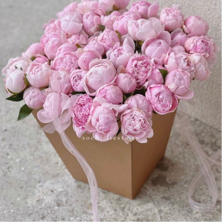 49 пионов в крафт коробке в Волгограде