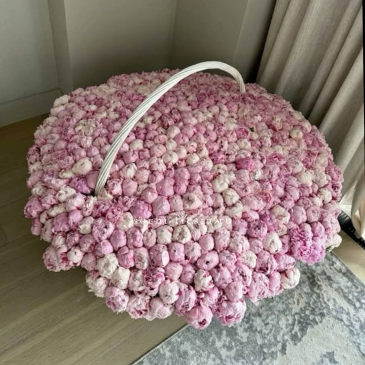 Корзина 555 пионов в Волгограде