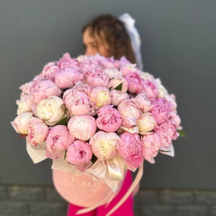 51 нежных пионов  в цилиндре в Волгограде