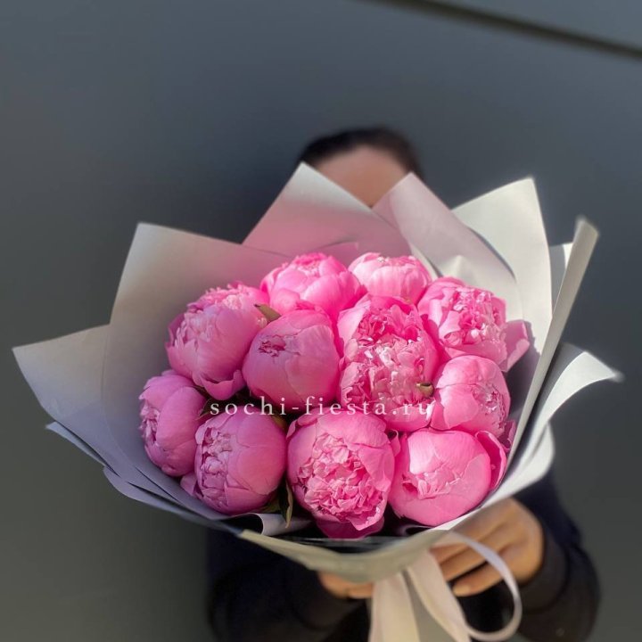 Пионы Алекс флеминг в Волгограде