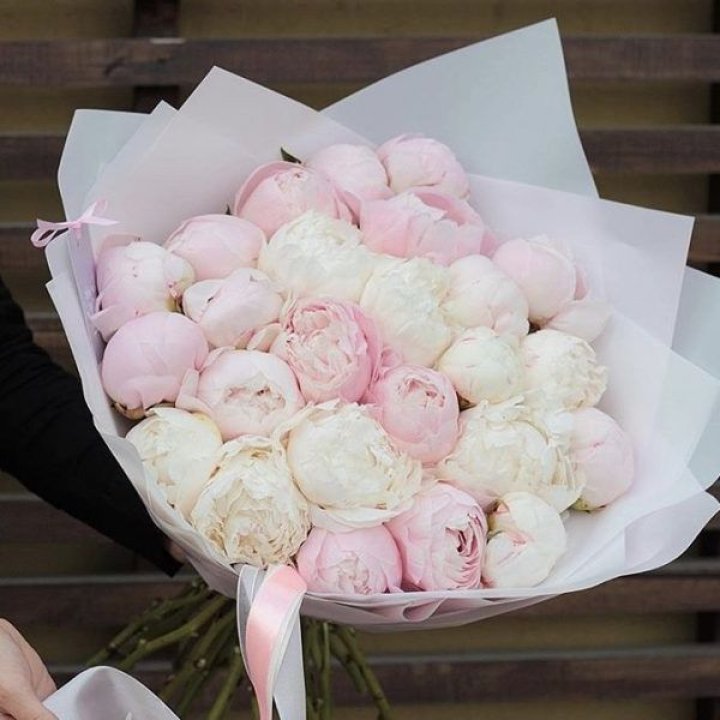 29 пионов в Волгограде