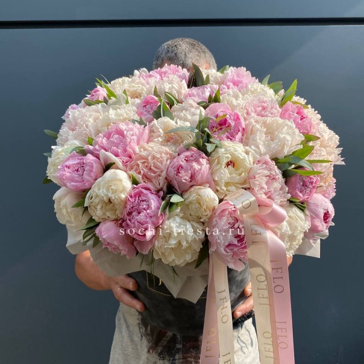 51 пионов в боксе в Волгограде