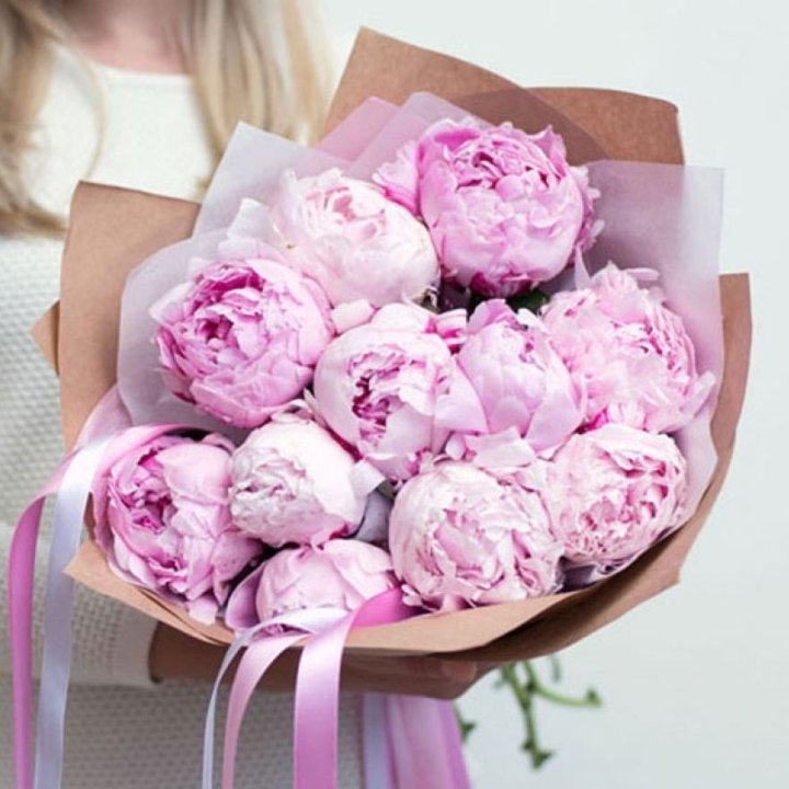 11 нежных пионов в Волгограде
