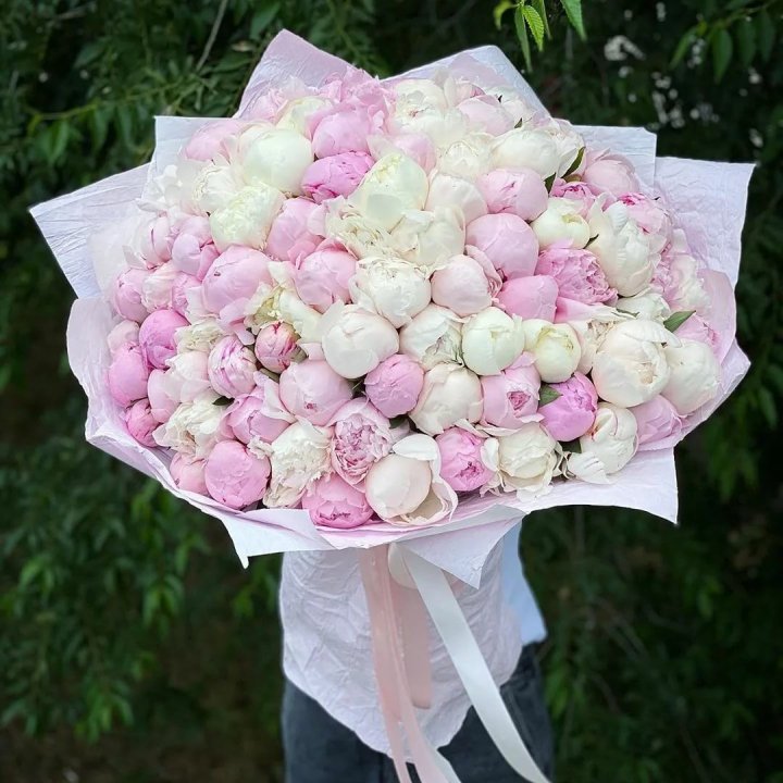 101 пион в Волгограде