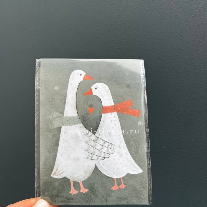 Открытка к букету "Гуси” в Волгограде