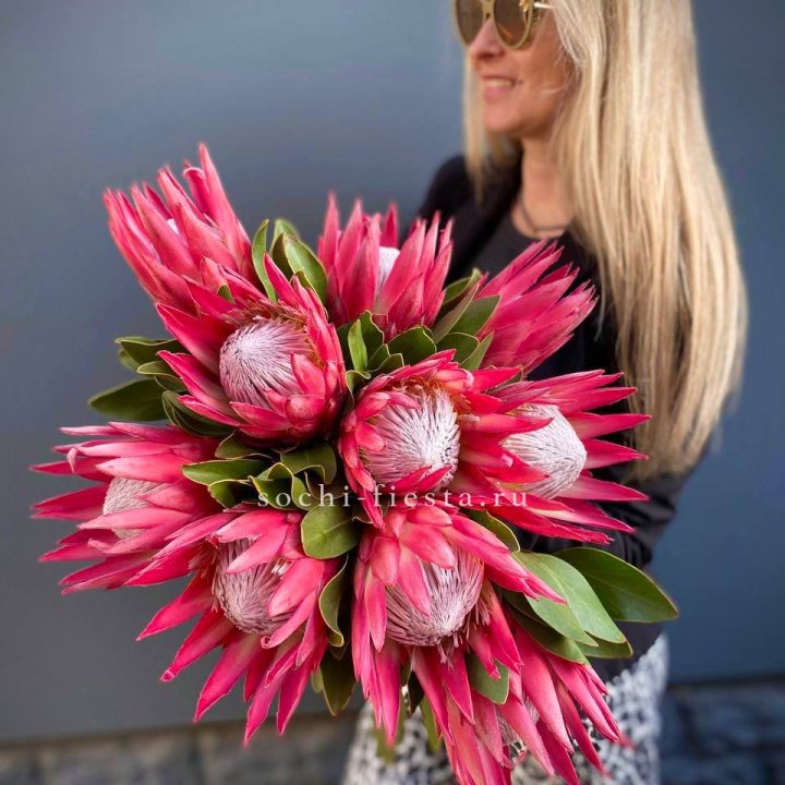 Протея штучно в Волгограде