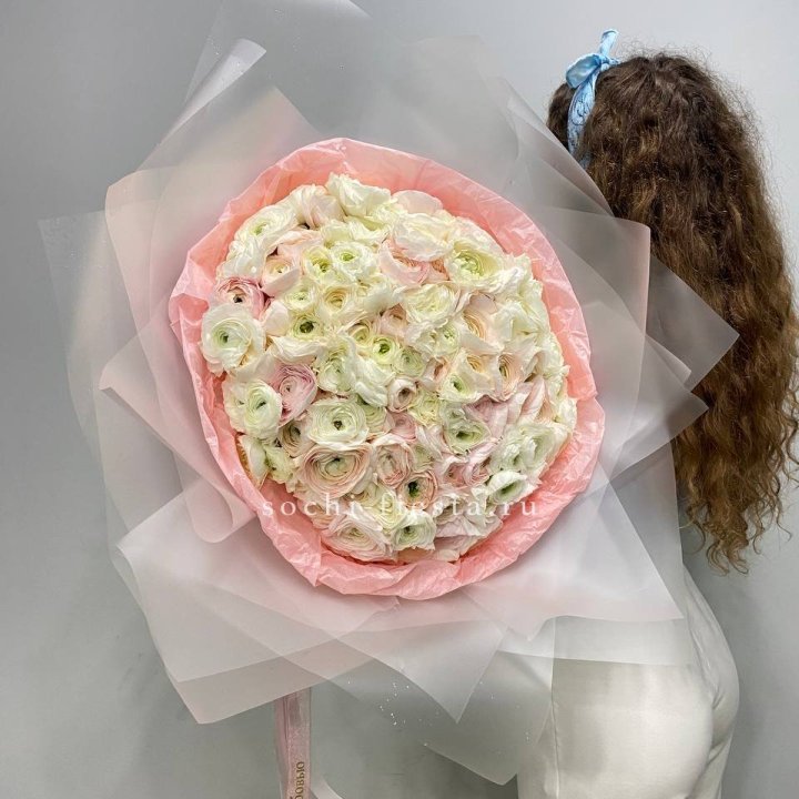 113 ранункулюсов  в Волгограде