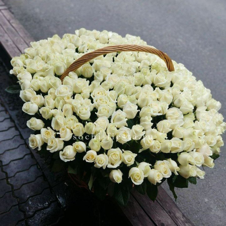 303 розы в корзине в Волгограде