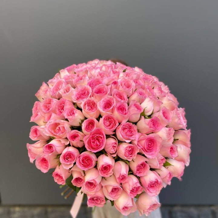 101 розовая роза в Волгограде