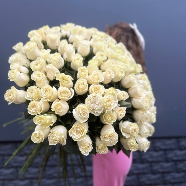 101 белая высокая импортная роза под ленту в Волгограде