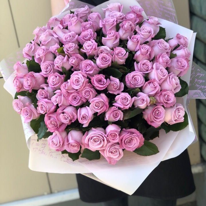 71 розовая роза "Маритим" в Волгограде