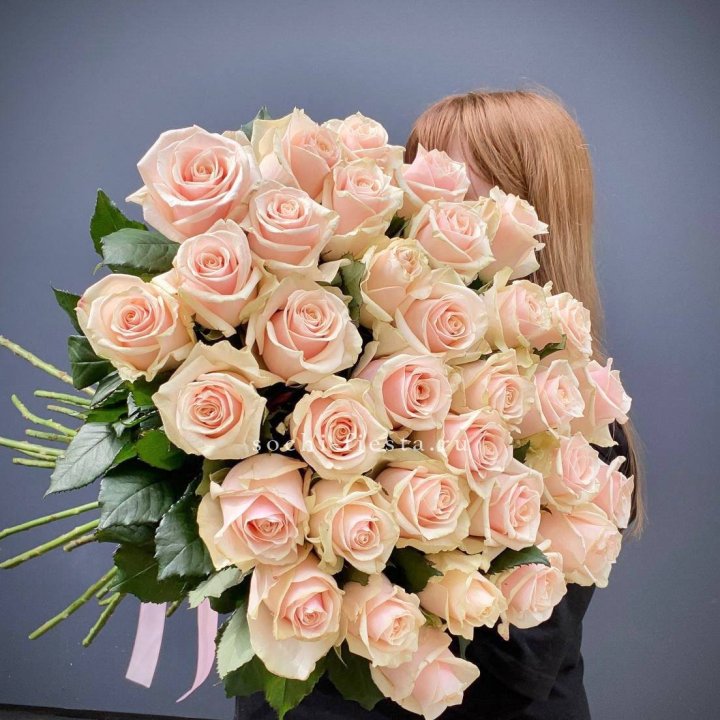 35 кремовых высоких роз в Волгограде