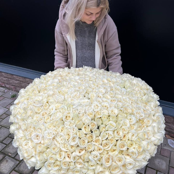 501 белая роза в корзине в Волгограде