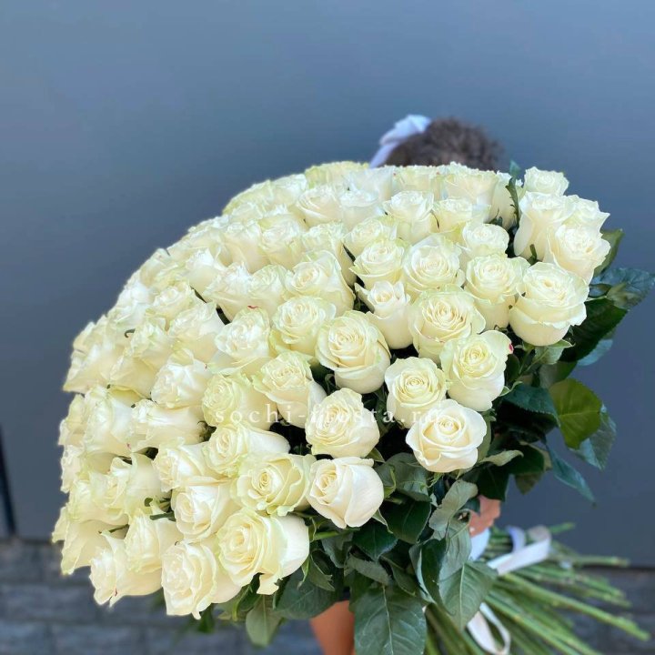 101 белая высокая роза в Волгограде