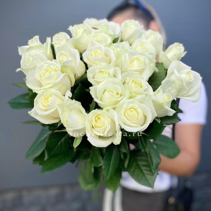 Голландские розы белые 25 в Волгограде