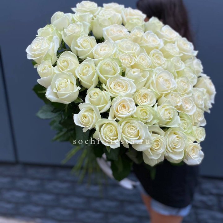 51 белоснежная высокая роза в Волгограде