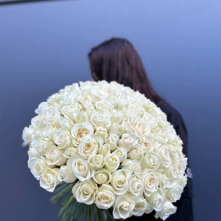Охапка из 101 белой розы  в Волгограде