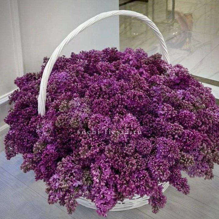 Корзина сирени в Волгограде