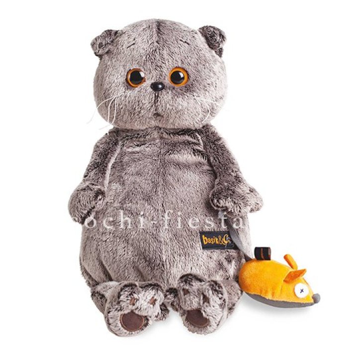 Кот Басик с мышкой в Волгограде