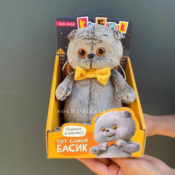 Кот Басик с бабочкой в Волгограде