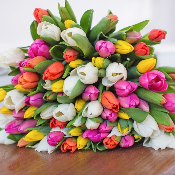 79 тюльпанов "Рандом" в Волгограде