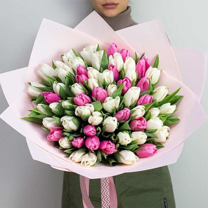 61 бело-розовый тюльпан в Волгограде