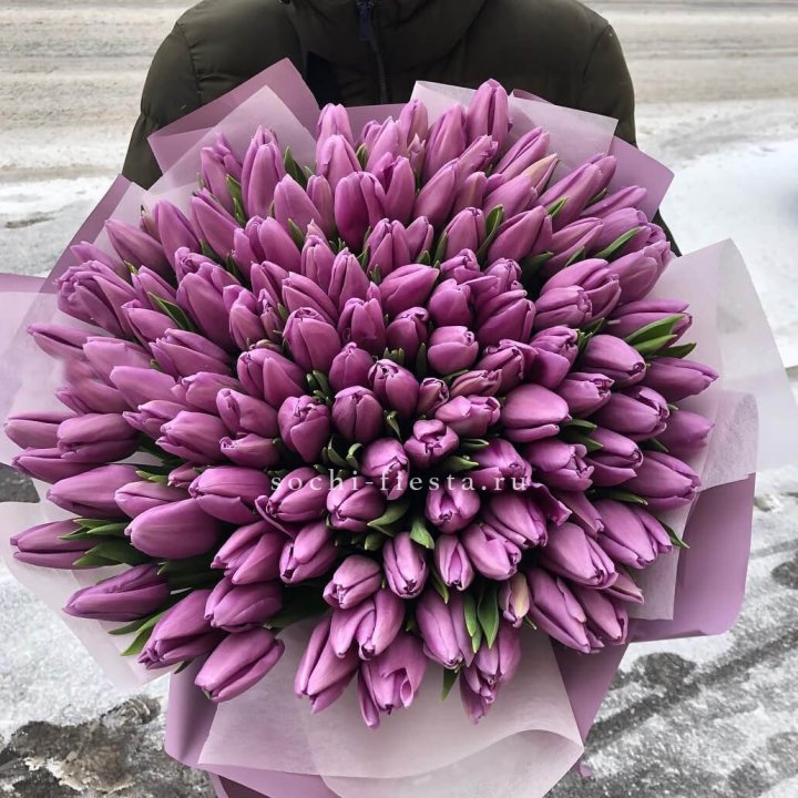 101 сиреневый тюльпан в Волгограде