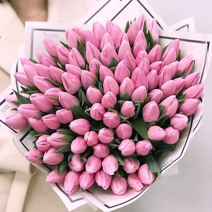 101 розовый тюльпан в белом в Волгограде