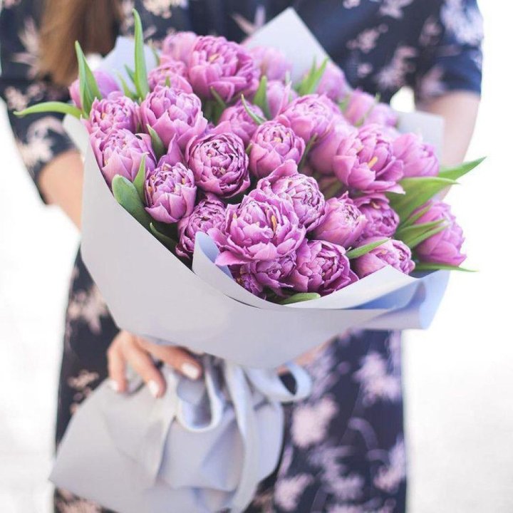 Тюльпаны "Пионс" в Волгограде