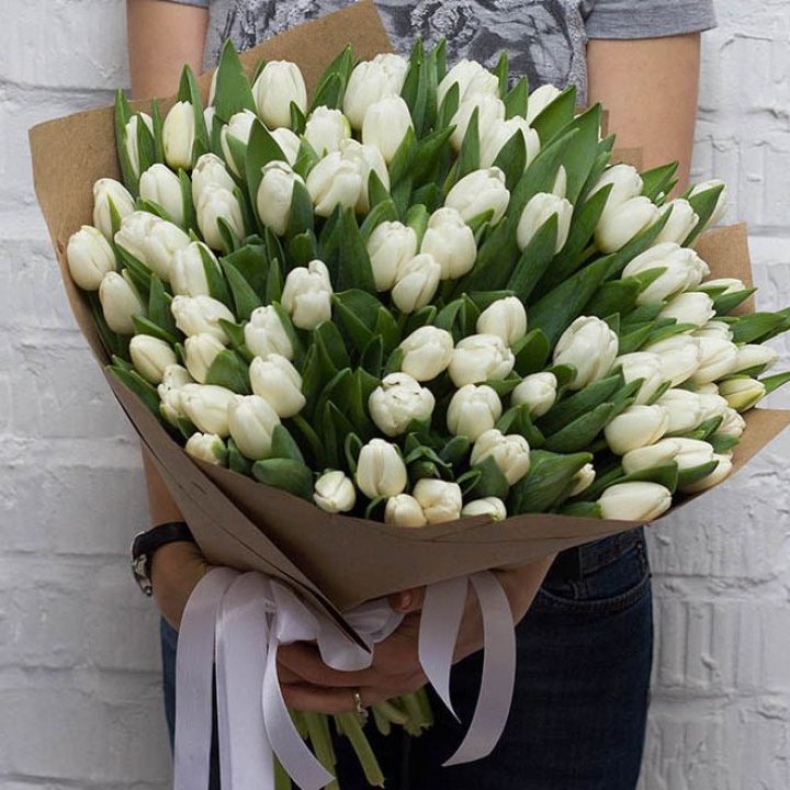 101 тюльпан сноу в Волгограде