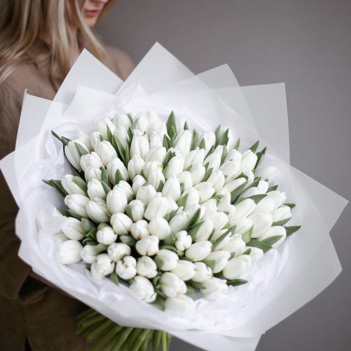 101 белый тюльпан в Волгограде
