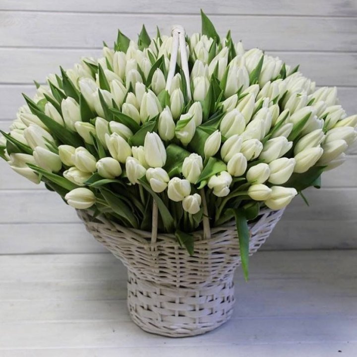 Корзина из 151 тюльпана в Волгограде
