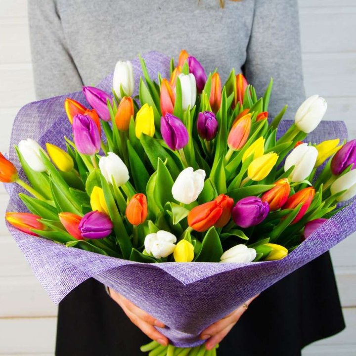 51 тюльпан "Рандом" №2 в Волгограде