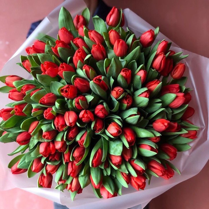 101 красный тюльпан в Волгограде